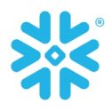 Snowflake Company logo